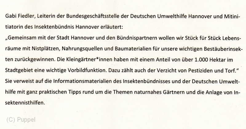 B Info  003.jpg